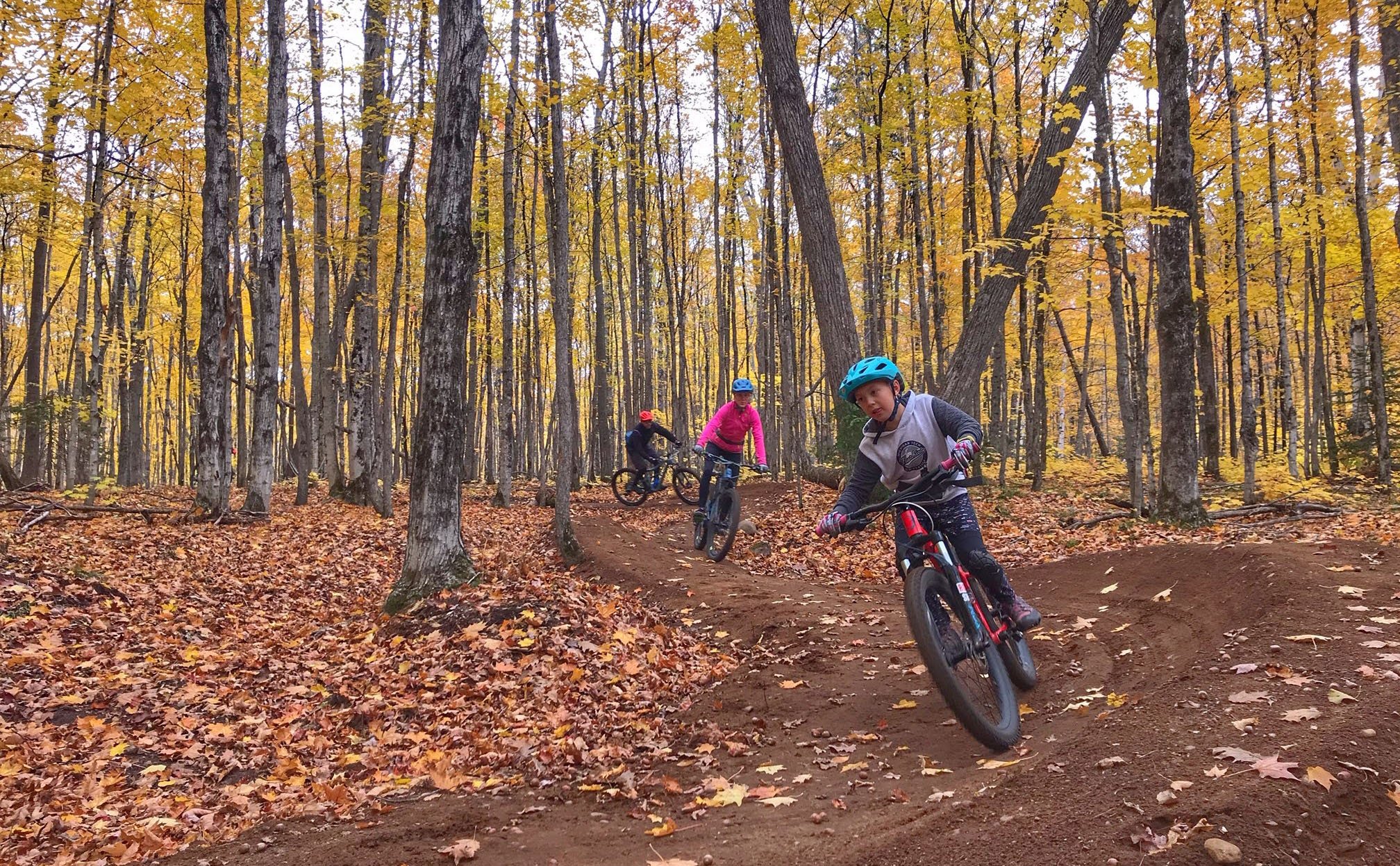 Hancock Trails Club completes map, sign and sustainability project at